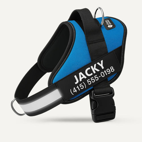 Norvea™ Anti-Trek Harnas